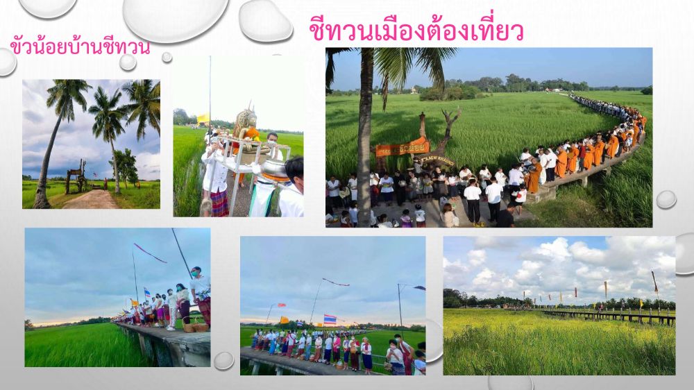 ชุมชนต้องเที่ยว ชุมชนบ้านชีทวน จังหวัดอุบลราชธานี