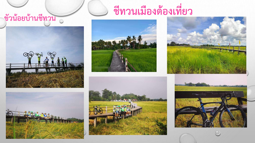 ชุมชนต้องเที่ยว ชุมชนบ้านชีทวน จังหวัดอุบลราชธานี