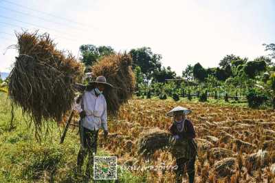 ชุมชนต้องเที่ยว  ชุมชนบ้านสันป่าเหียง  จังหวัดเชียงราย