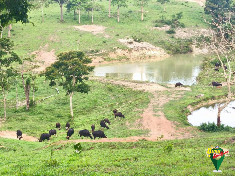 ชุมชนต้องเที่ยวชุมชนท่องเที่ยวบ้านคลองทราย