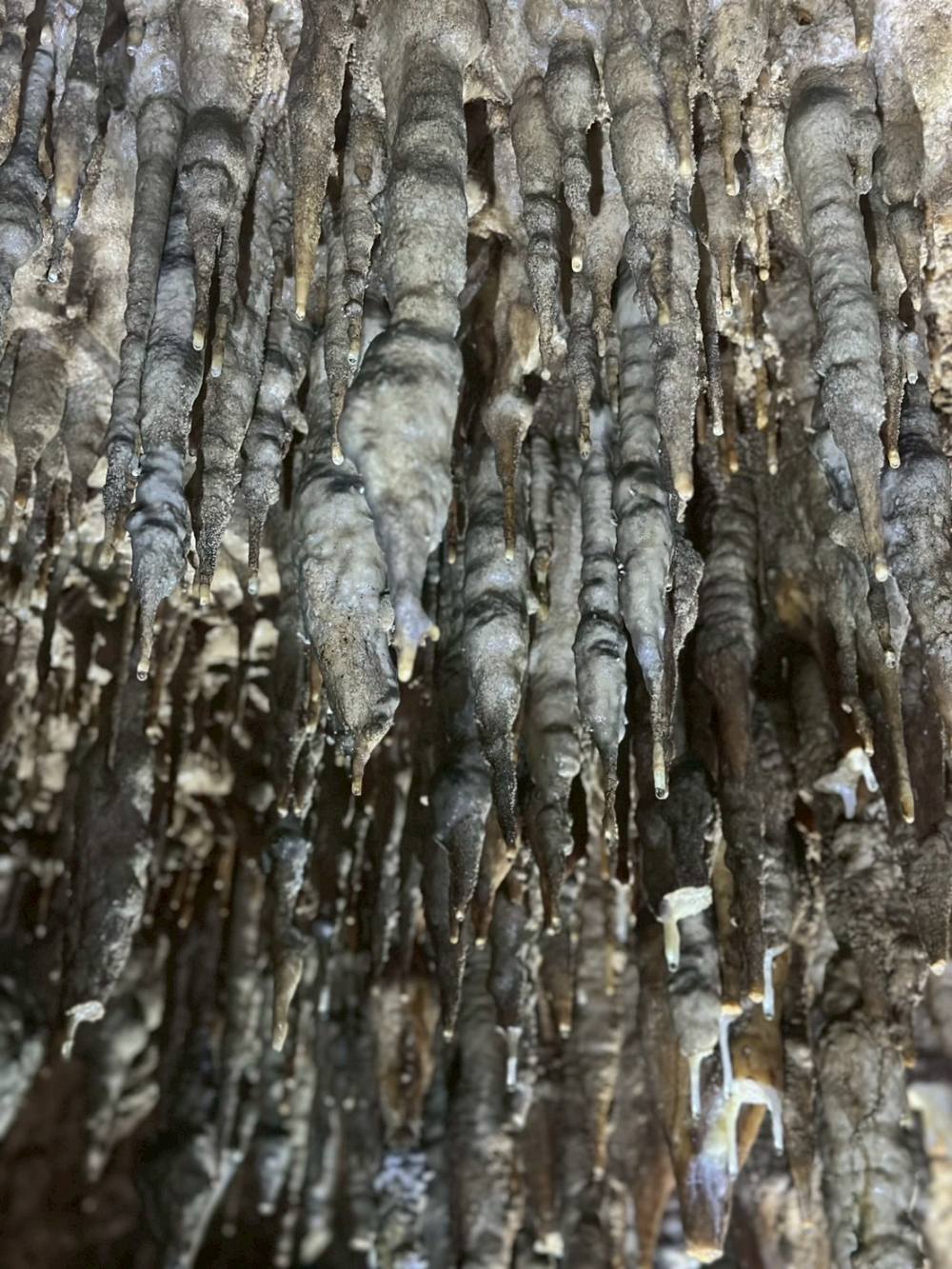 ชุมชนต้องเที่ยวชุมชนท่องเที่ยวบ้านลำขนุน