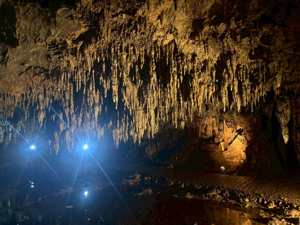 ชุมชนต้องเที่ยวชุมชนท่องเที่ยวบ้านลำขนุน