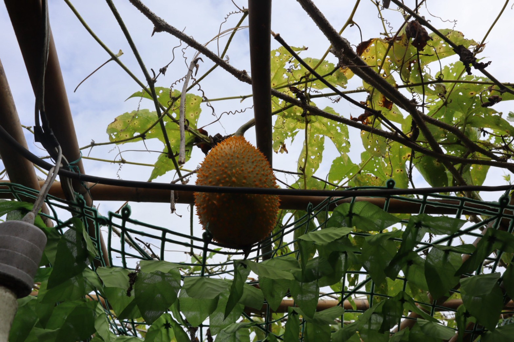 ชุมชนต้องเที่ยวชุมชนท่องเที่ยวบ้านศาลาดิน