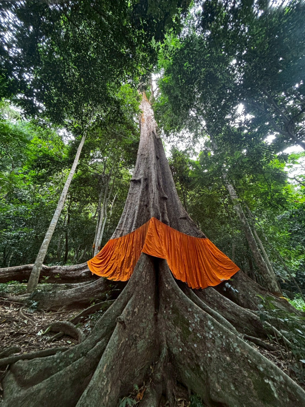 ชุมชนท่องเที่ยวบ้านเขาใหญ่ จังหวัดชลบุรี