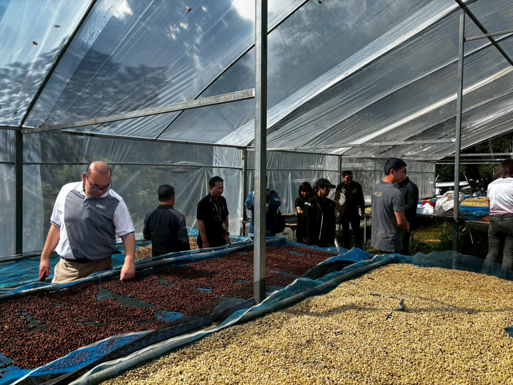 ชุมชนท่องเที่ยวบ้านป่าเหมี้ยง จังหวัดลำปาง