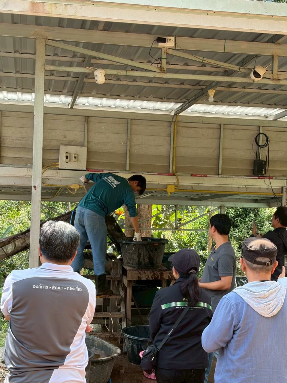 ชุมชนท่องเที่ยวบ้านป่าเหมี้ยง จังหวัดลำปาง