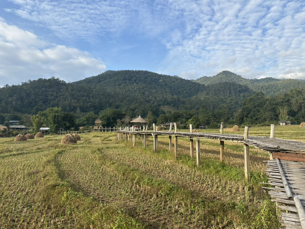 ชุมชนท่องเที่ยวบ้านแพมบก จังหวัดแม่ฮ่องสอน