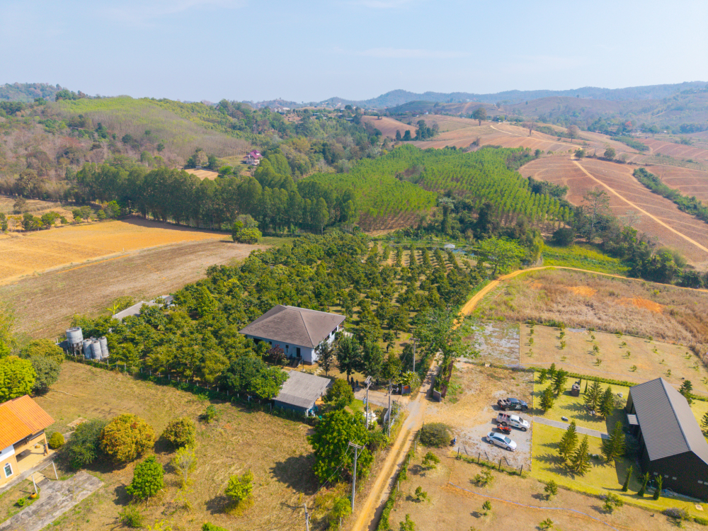 ชุมชนท่องเที่ยวบ้านคลองทราย