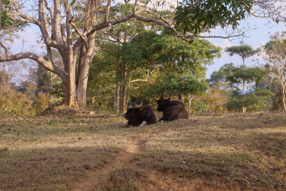 ชุมชนท่องเที่ยวบ้านคลองทราย
