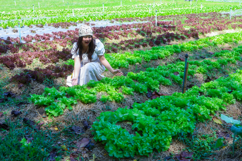 ชุมชนท่องเที่ยวบ้านคลองทราย