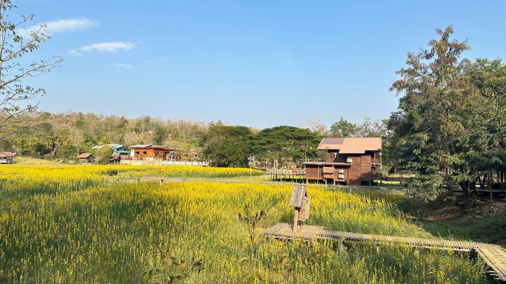 ชุมชนท่องเที่ยวบ้านนาต้นจั่น จังหวัดสุโขทัย