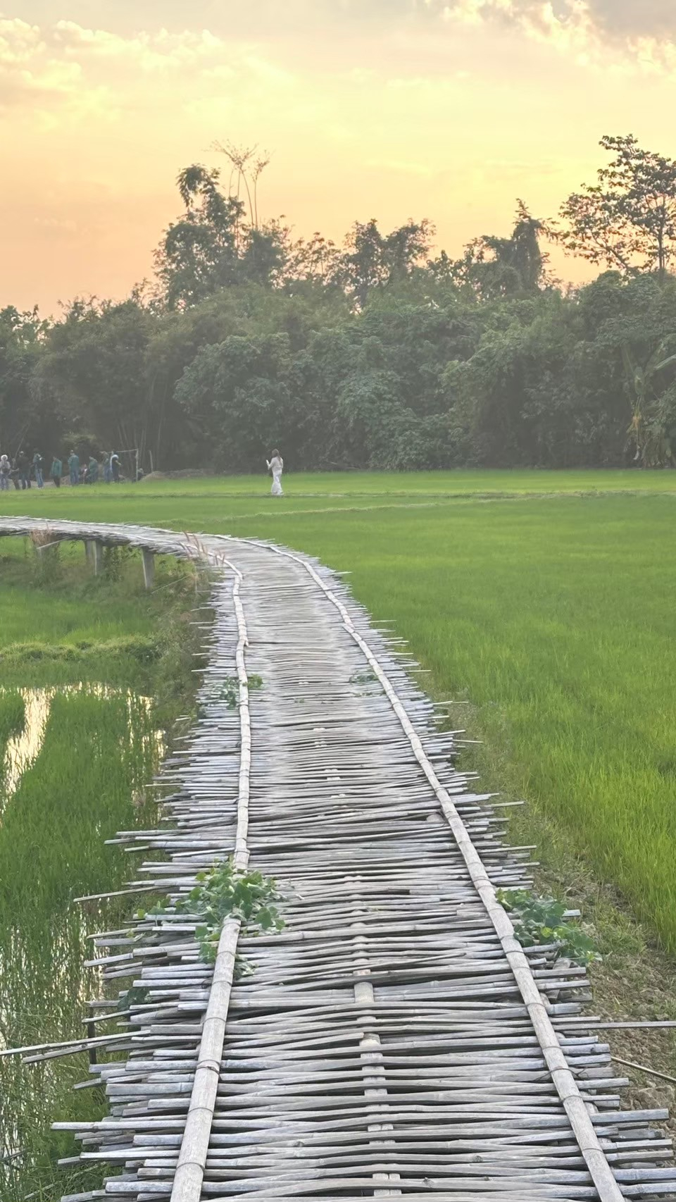 ชุมชนท่องเที่ยวบ้านนาต้นจั่น จังหวัดสุโขทัย