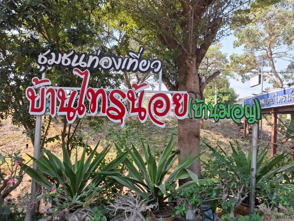 ชุมชนท่องเที่ยวบ้านไทรน้อย อำเภอบางบาล จังหวัดพระนครศรีอยุธยา