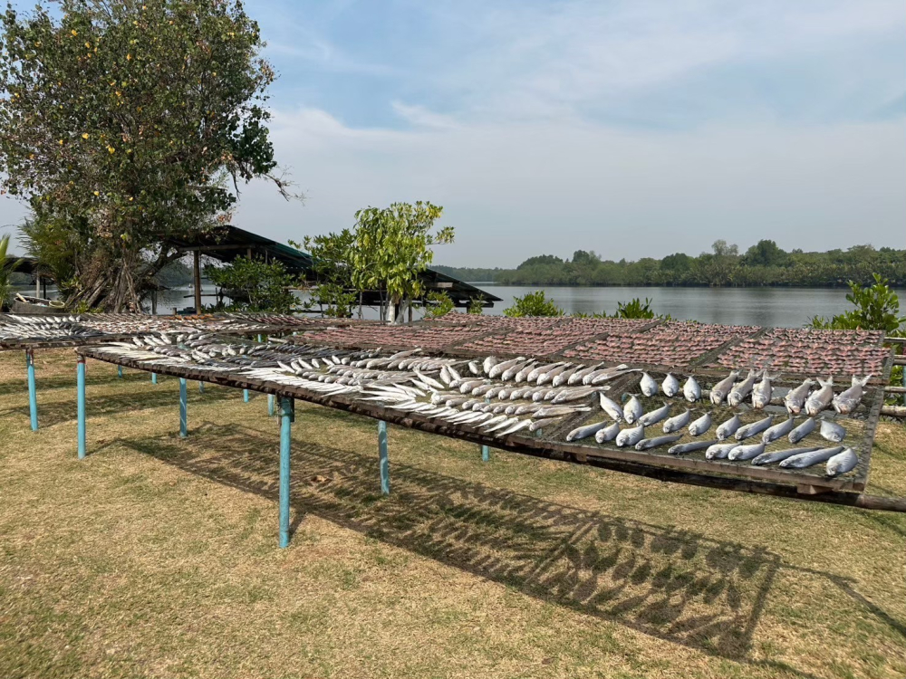 ชุมชนท่องเที่ยวบ้านทะเลน้อย