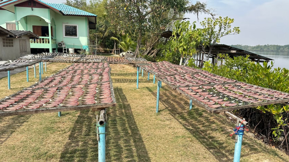 ชุมชนท่องเที่ยวบ้านทะเลน้อย