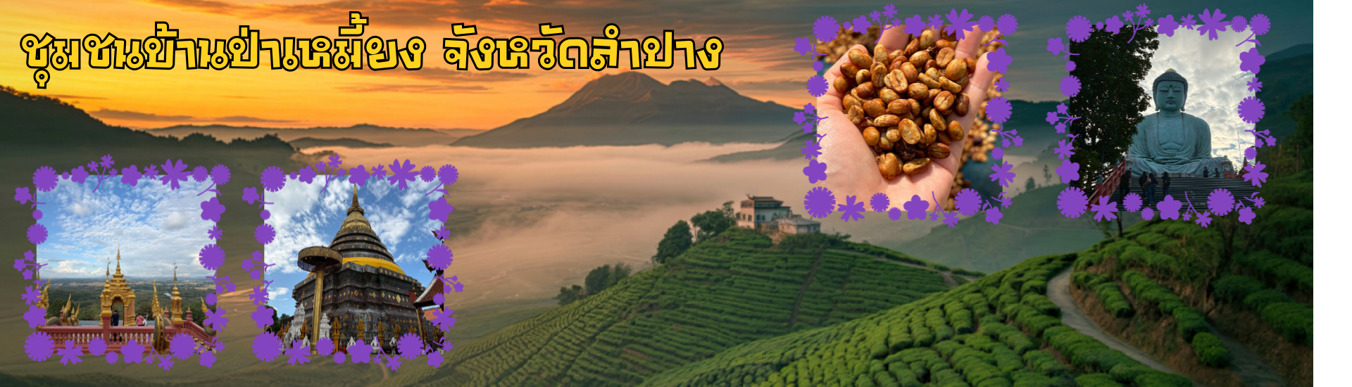 ชุมชนบ้านป่าเหมี้ยง