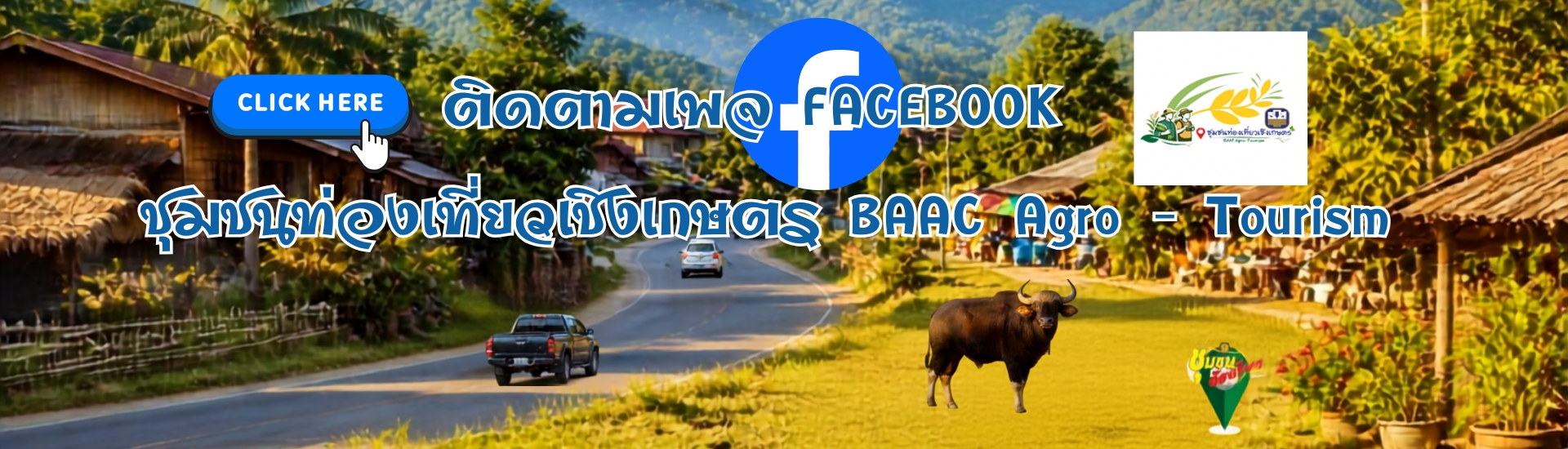 หน้าปกเว็บไซต์ติดตามเพจ