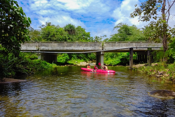 พายเรือคายัค ที่ลำน้ำพิกุล