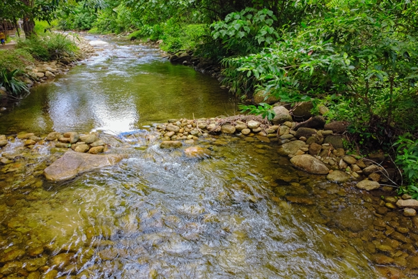 พายเรือคายัค ที่ลำน้ำพิกุล